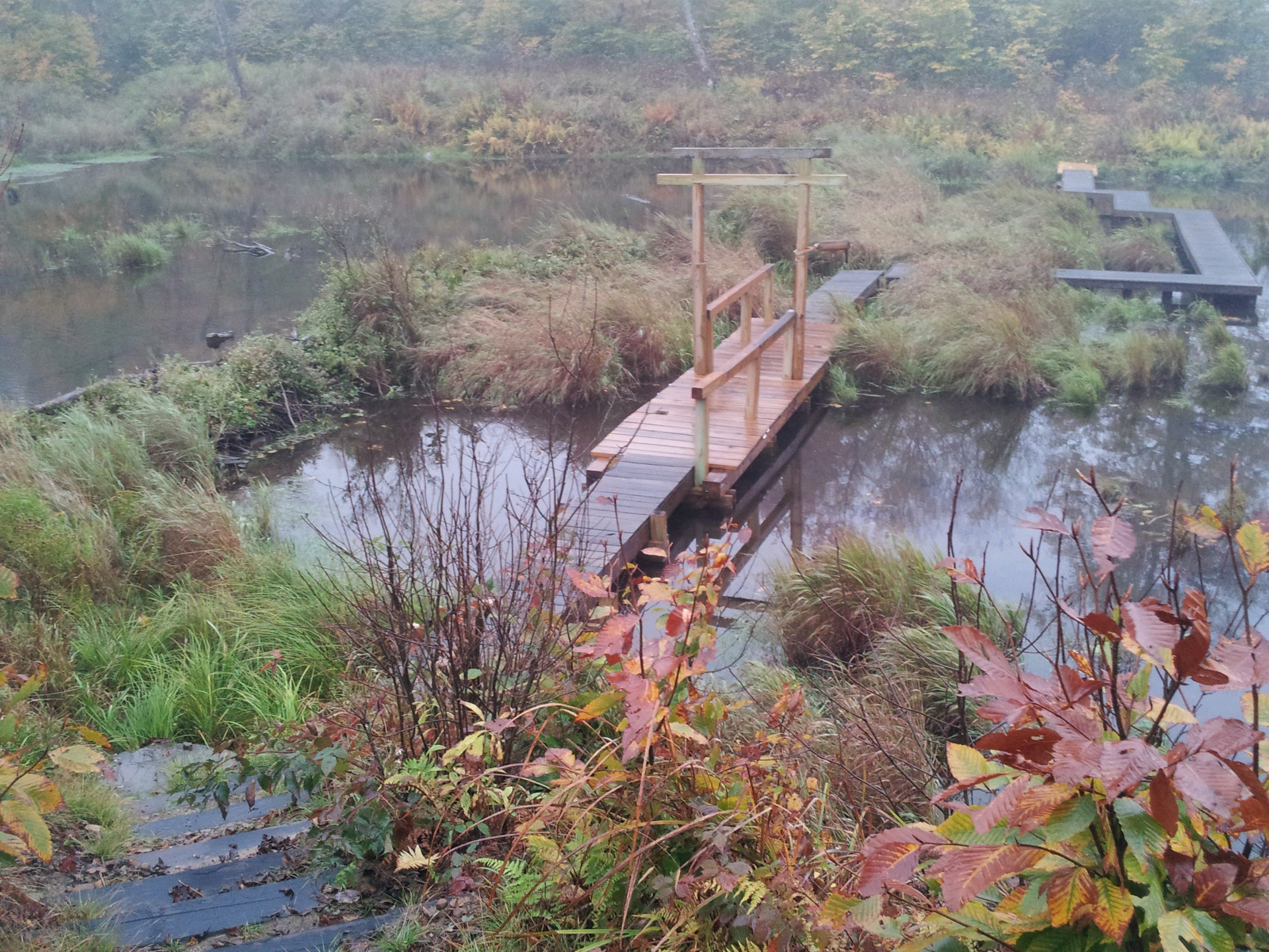 To what purpose is our mind disturbed?